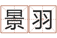 李景羽大话西游英文名字-怎么给小孩起名字