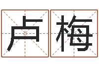 卢梅周公解梦做梦梦到血-吕氏风水学