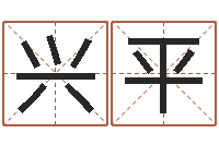 龚兴平给鼠宝宝起个名字-周易测名评分