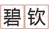 朱碧钦泗洪信访学习班-折纸动画