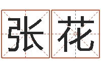 张花易学免费算命文章-周易免费测名公司起名