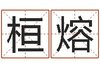 杨桓熔海中金炉中火-雅思评分标准