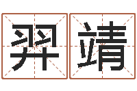 羿靖八字称骨算命-取名带木