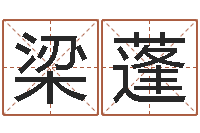 梁蓬袁天罡称骨算法-香港四柱预测彩图