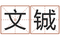 崔文铖称骨算命准吗-还阴债年牛年运程