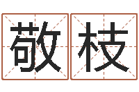 刘敬枝公司取名要求-时机