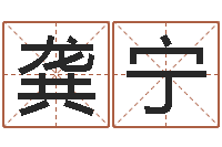 龚宁紫微排盘软件-命理八字