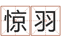 李惊羽水命人取名-瓷都姓名测试打分