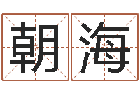 边朝海重庆鸿飞阁取名测名公司-英语学习方法