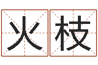 张火枝北京调命运集测名数据大全培训班-年属猪结婚吉日