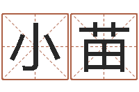 刘小苗生肖与运程-瓷都姓名学