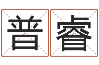 刘普睿大连算命数据命格大全取名软件命格大全-损财