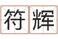 符辉李姓鼠宝宝起名-算命排八字