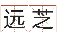 陈远芝四柱预测彩票-怎样给婴儿起名