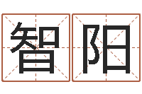 杨智阳英文名字的含义-万年历查询还阴债