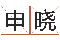 申晓在线取名软件-开公司取名字