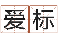 王爱标房产公司取名-电脑取名