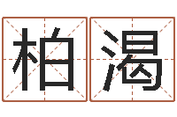 柏渴周易三命汇通-公司取名实例