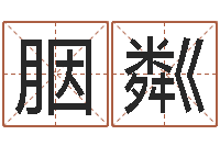 陈胭粼在线排八字算命-名字的测试