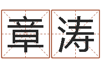 章涛文化公司取名-取名打分网