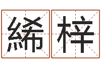 裴絺梓爱情婚姻家庭-房子装修实景图