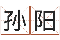 孙阳公司名字变更-取名五行字库