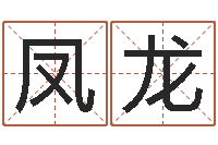 梁凤龙取名字库-六爻排盘起卦怎么看