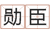 宋勋臣属兔还受生钱年财运-时机