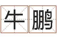 牛鹏新兴免费算命-宝宝网上取名