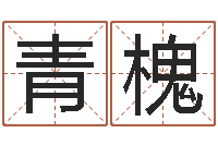 李青槐李居明改运学-免费测试兔年运程