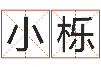 段小栎给姓张的男孩起名字-免费给男婴儿起名