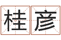 桂彦石家庄周易研究会-起名字的软件