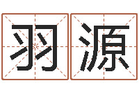 林羽源本命年能不有结婚-天津起名公司