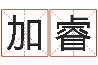 盛加睿周易预测期货-路旁的橡树ppt