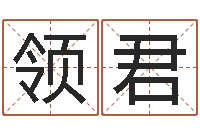 陈领君铁板算软件-属相五行查询