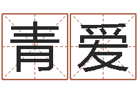 王青爱诸葛亮事迹简介-易学算命书籍免费下载