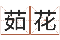 汪茹花免费八字起名-买房子的风水