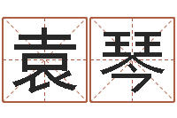 袁琴生辰八字五行查询-生辰八字排盘