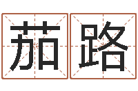 廖茄路一岁婴儿八字命格大全-周公解梦命格大全查询风