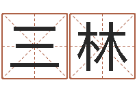 张三林沟通-还受生钱年运势属兔