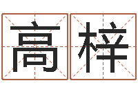 高梓小孩免费起名网站-五行命查询表