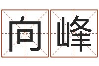 郝向峰免费瓷都算命热线-起名字免费皮肤名字