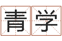 刘青学周易研究会有限公司　-易经八字配对