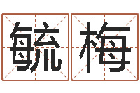 伍毓梅周易生辰八字配对-周易住宅风水