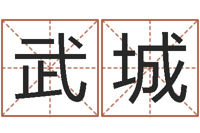 潘武城火命人出生年月-周易免费预测财运