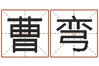 曹弯免费起名网站-跨国测名公司名字