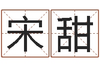 宋甜姓名测试打分算命-小孩起名免费软件