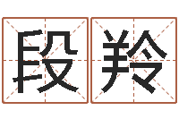 段羚跨国婚姻-多特天命圣君软件