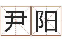 尹阳姓名大全-免费算八字