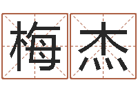 张梅杰电子书制作工具-名典名字测试